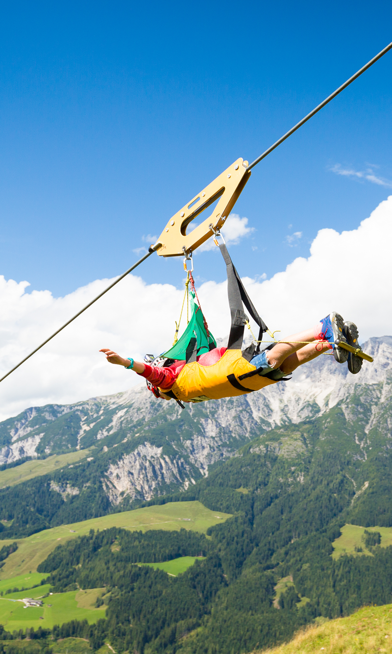 Flying-Fox-XXL-(c)-Bause-(2)